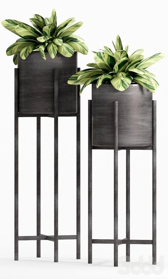 Gardening Steel Rusty Planter Pot